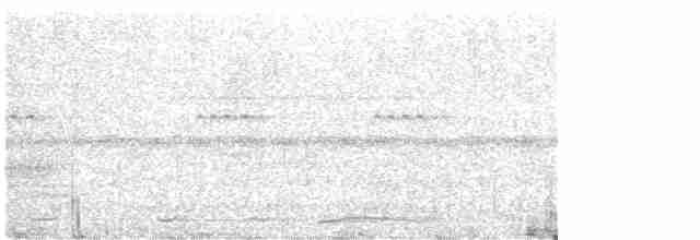 holub krátkozobý - ML617780355