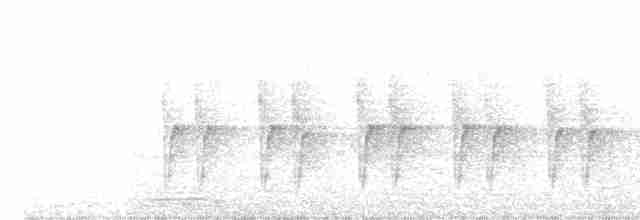 pěnicovec krátkoocasý [skupina brevicaudata] - ML617781152