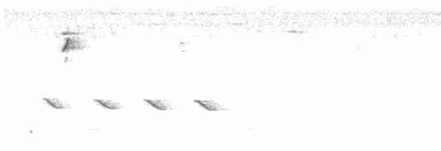 Kara Tepeli Baştankara - ML617781498