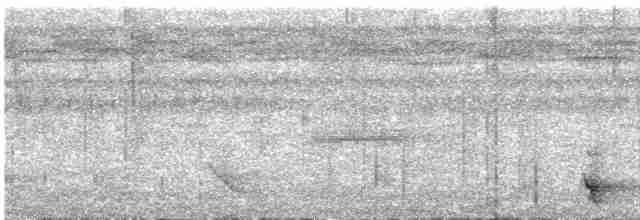 White-tailed Trogon - ML617781947