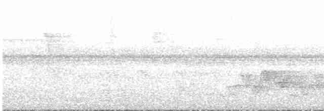 Белоухий крапивник - ML617782084