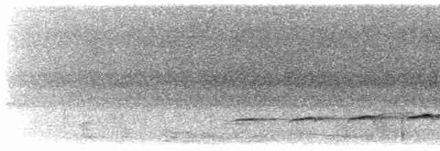 Fork-tailed Drongo-Cuckoo - ML617782192