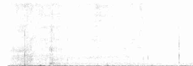 Great Reed Warbler - ML617785920