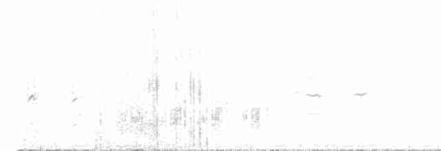 Great Reed Warbler - ML617785994