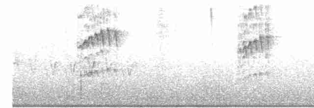 Swinhoe's White-eye - ML617786247