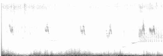 Hirondelle bicolore - ML617787592