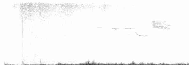 Paruline à gorge noire - ML617788159