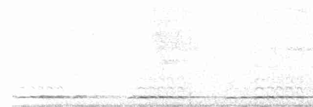 Сичик-горобець азійський - ML617788794