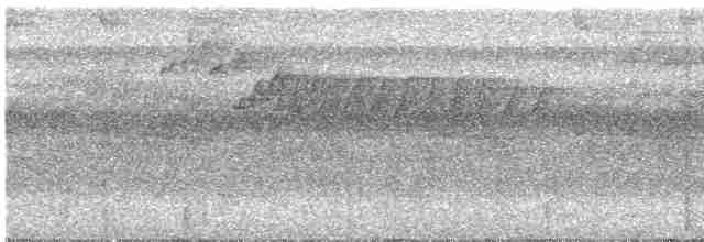 Ерміт прямодзьобий - ML617789380