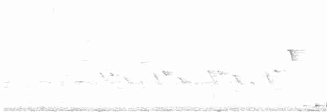 Pileated Woodpecker - ML617792201