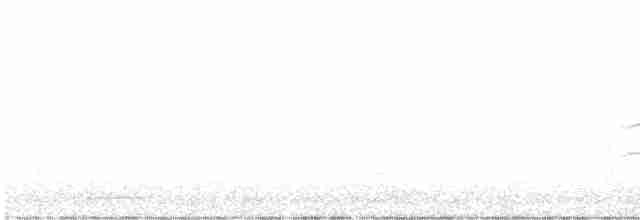 Provencegrasmücke - ML617795619