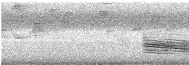Зернолуск білогорлий - ML617796561