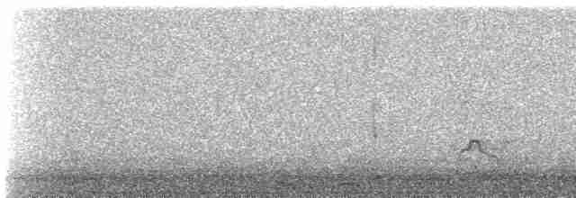 Кулик-сорока євразійський (підвид ostralegus/longipes) - ML617798921