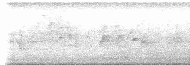 セスジツバメ（fulva グループ） - ML617799431