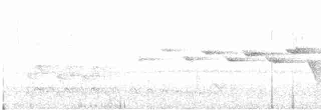 Flavescent Warbler - ML617800884