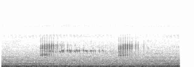 White-throated Kingfisher - ML617802338