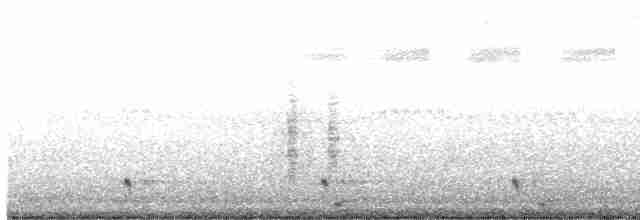 Large-tailed Nightjar - ML617803593