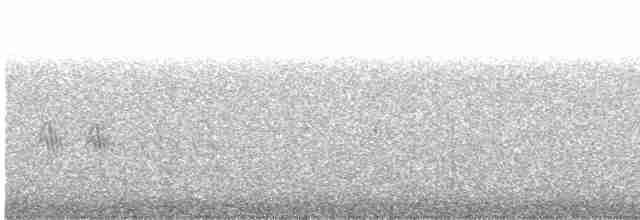 Black-throated Gray Warbler - ML617804168