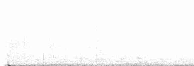 Белая трясогузка - ML617806468