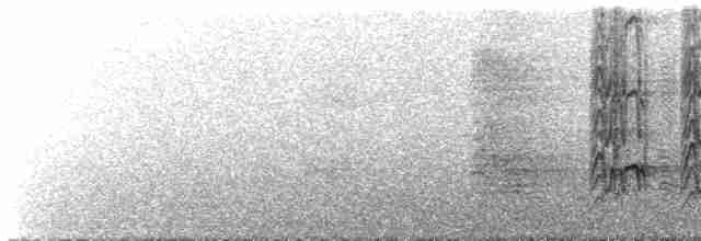 Aratinga de Wagler - ML617807712