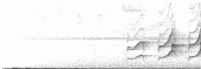 Серогрудый тенелюб - ML617810343