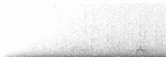 guan stříbrouchý - ML617811081