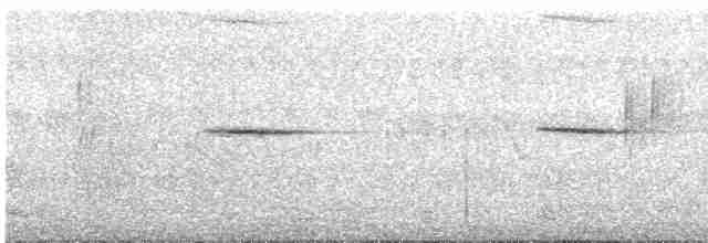 Plumbeous Redstart - ML617812357