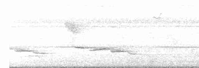 Papamoscas de Manglar - ML617813059