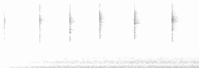 Junco ardoisé (groupe oreganus) - ML617813827