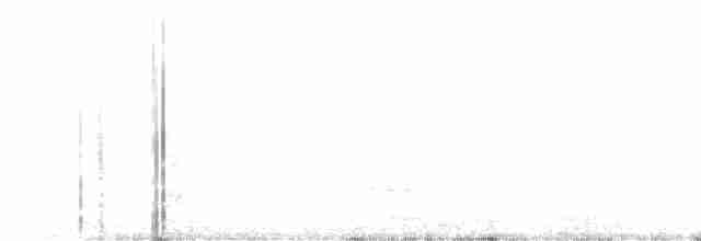 Paruline à ailes blanches - ML617814360