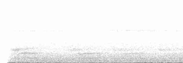 Гребенечуб андійський - ML617814421