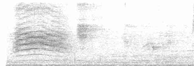 drozdec černohlavý - ML617815789