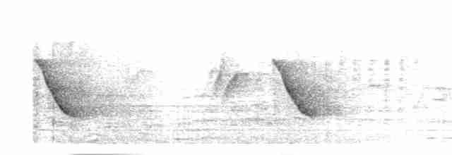 langhaleskredderfugl - ML617816652