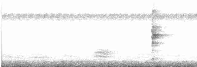 灰胸秧雞 - ML617817457