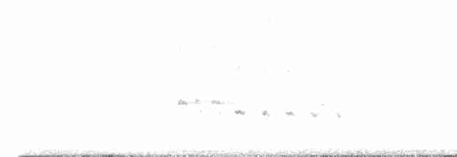 Орлан білоголовий - ML617818192