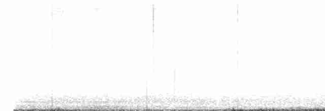 Малая канадская казарка - ML617818510