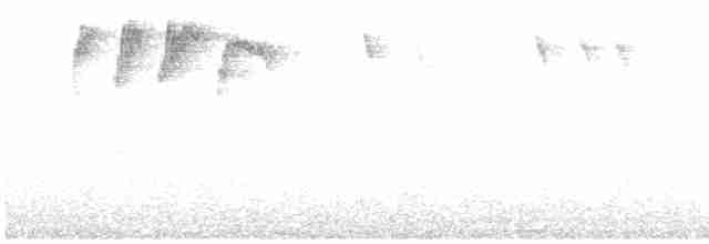 Желтоголовый королёк (teneriffae) - ML617818671