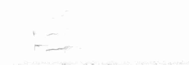 Красноклювая лазоревая сорока - ML617819387