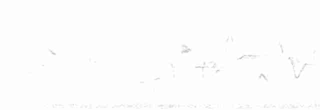 Желтогорлая овсянка - ML617819403