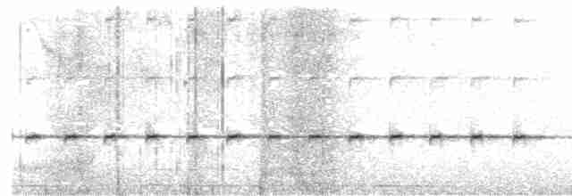 Королаз плямистобокий - ML617820058