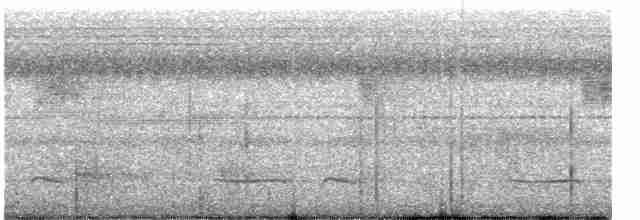 Полосатый зимородок - ML617820525