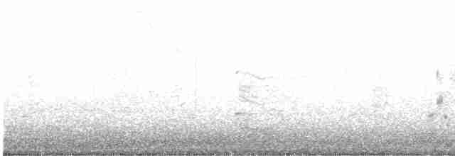 Yellow-crowned Night Heron - ML617821524