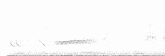 Bluish-gray Saltator - ML617821552