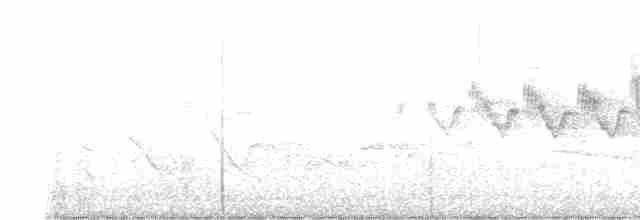 Cerulean Warbler - ML617823271
