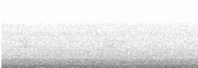 Каролинский крапивник - ML617823488