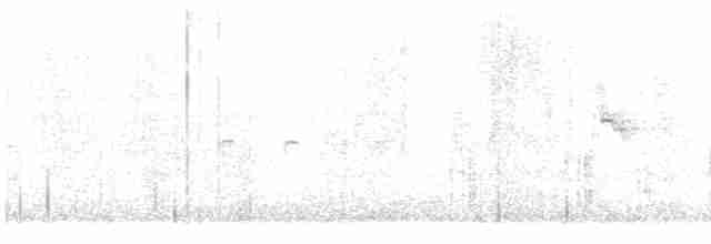 Great Reed Warbler - ML617824231