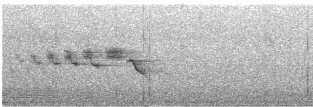 Black-throated Gray Warbler - ML617824390