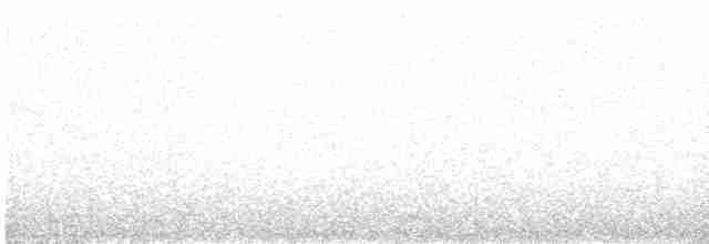 Eurasian Nightjar - ML617826829
