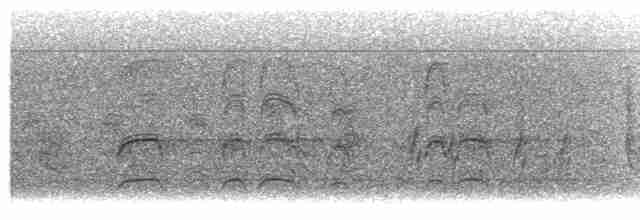halsbåndfrankolin (francolinus/arabistanicus) - ML617828205