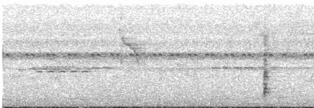 Krähenstirnvogel - ML617829523